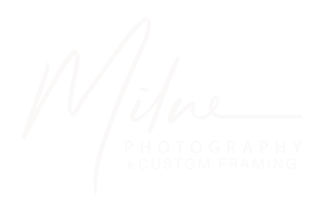 Milne Photography – Fresno's Award Winning photography